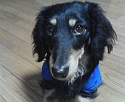 e0007801_0484566.jpg