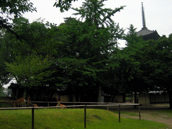 c0043403_2163919.jpg