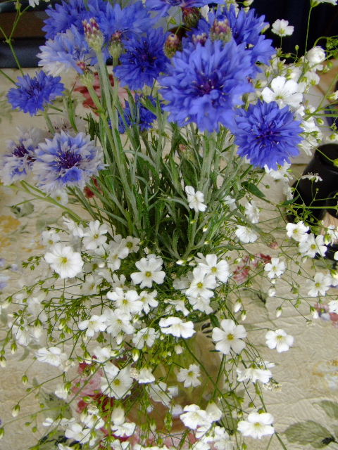 c0062603_13243048.jpg