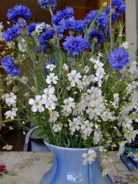 c0062603_13245362.jpg