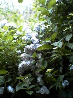 f0092906_18152940.jpg