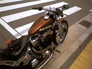 b0047907_046843.jpg