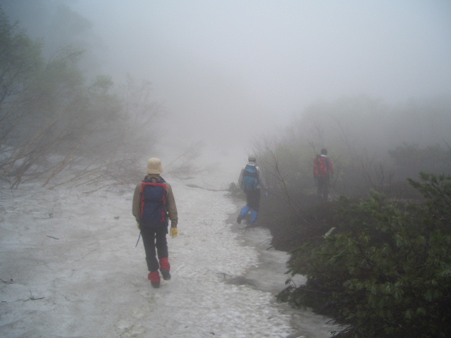 d0050007_2227151.jpg
