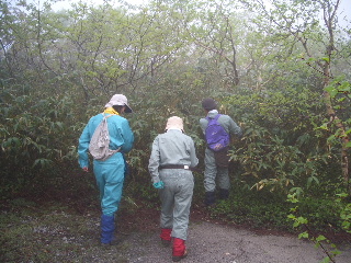 d0050007_22282364.jpg