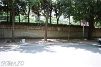 d0059113_157268.jpg