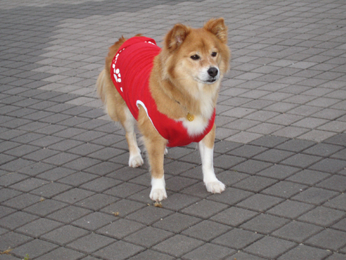 c0030624_23332365.jpg