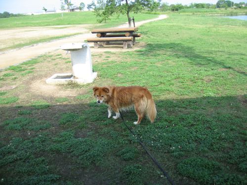 c0030624_23335817.jpg