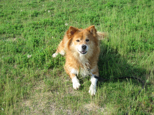 c0030624_23344035.jpg