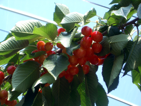 f0000135_11451052.jpg