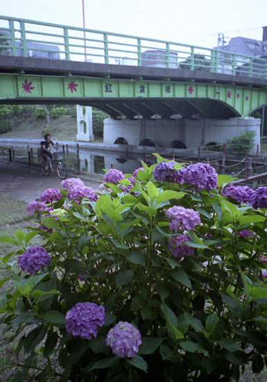 f0063941_14443088.jpg
