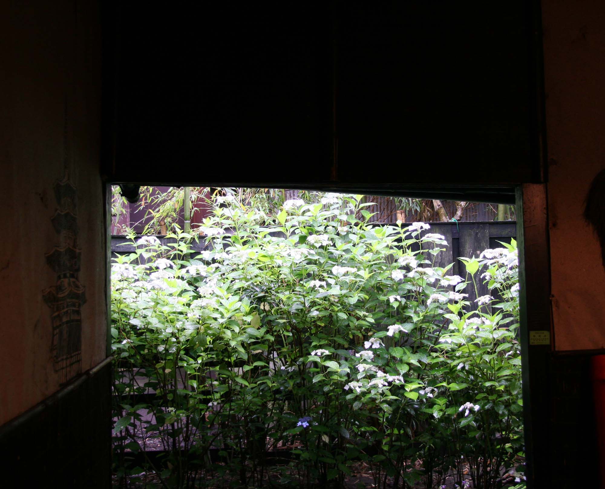 a0076043_1844276.jpg