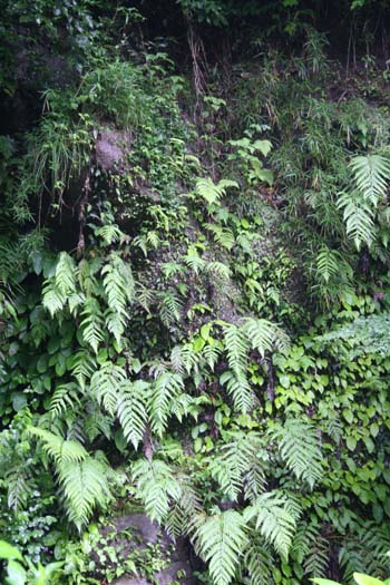 a0076043_198250.jpg