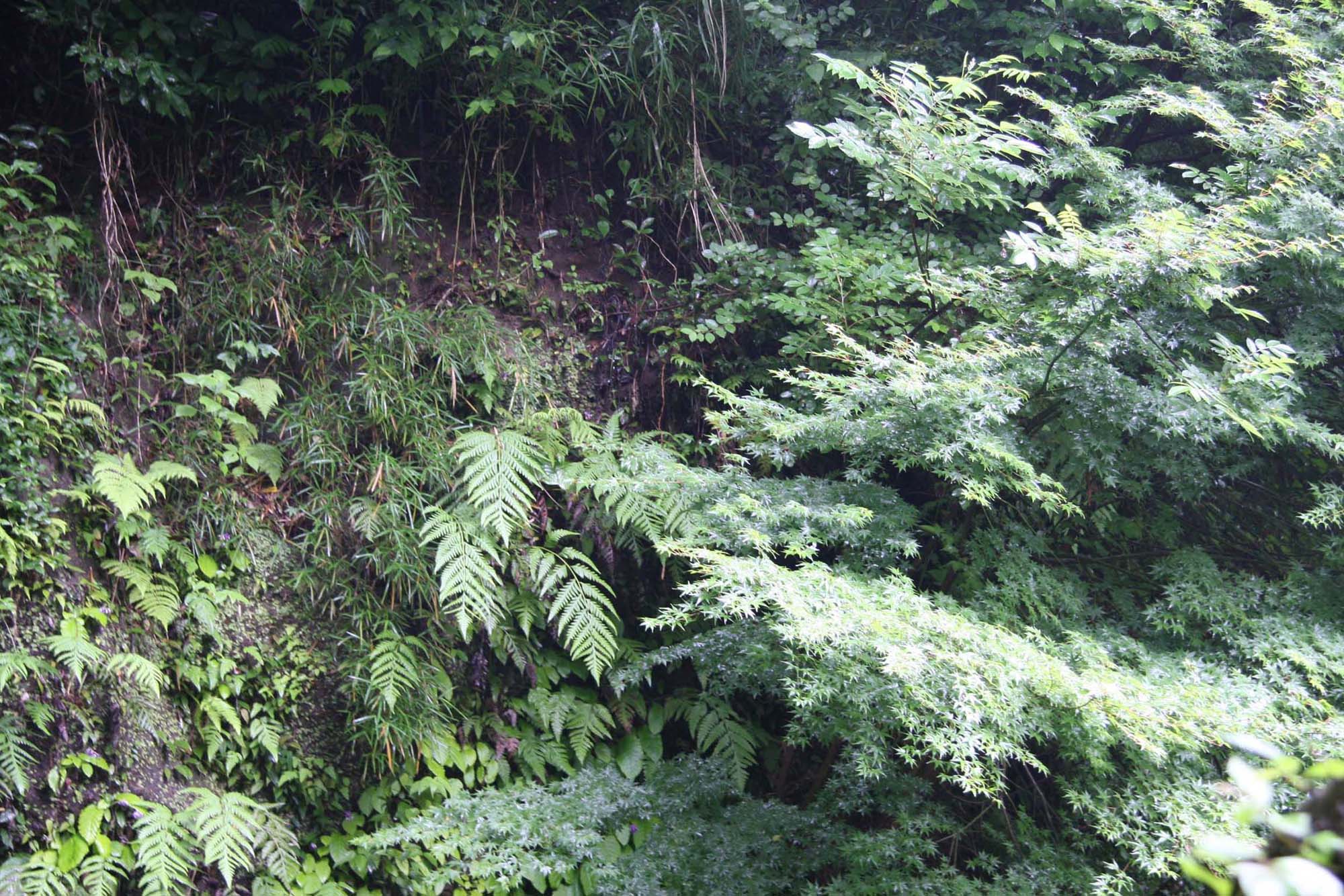 a0076043_1983554.jpg