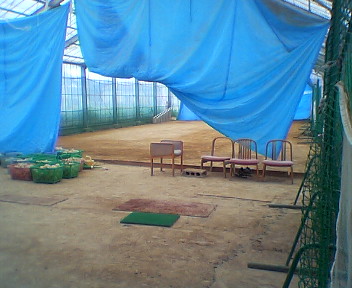 e0036748_144228.jpg