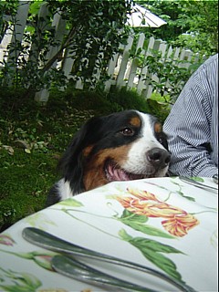 e0057248_1531563.jpg