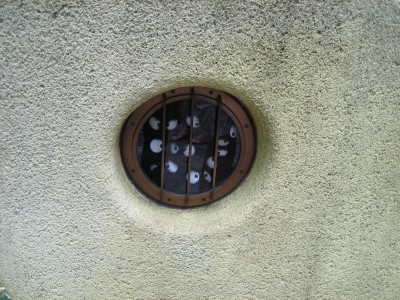 c0032250_23344484.jpg