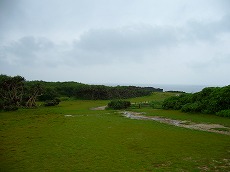 f0056250_21291640.jpg