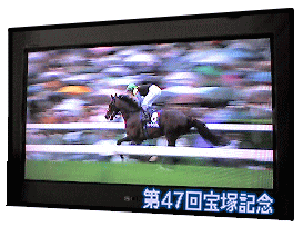 c0025852_1627829.gif