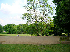 d0000760_16534062.jpg