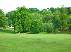 d0000760_165539.jpg