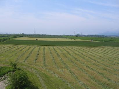 f0049160_10143041.jpg
