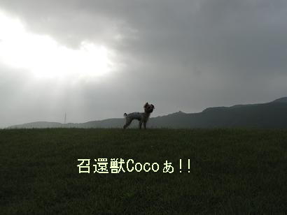 f0067361_20255127.jpg