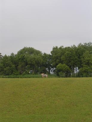 f0067361_2028173.jpg