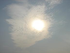 a0055362_229106.jpg