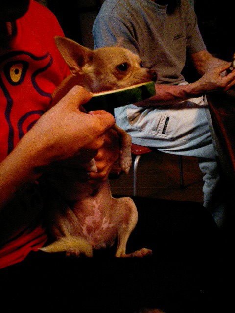 f0046262_039962.jpg