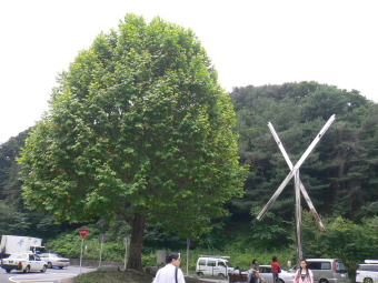 a0063364_2319779.jpg