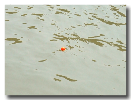 d0038670_2342949.gif