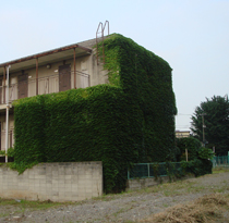 b0091373_281113.jpg