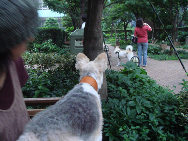 b0091373_291250.jpg