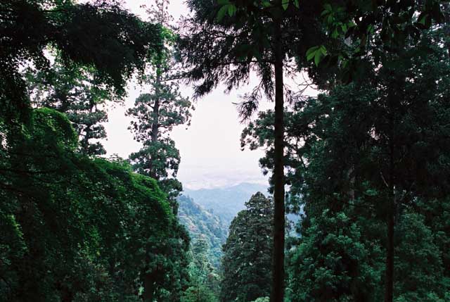 b0102780_22242734.jpg