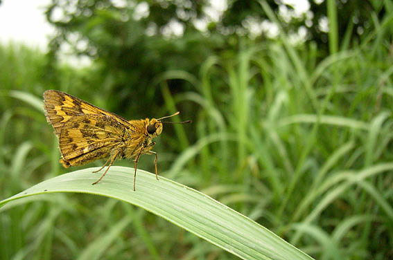 f0090680_2323543.jpg