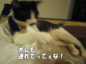 b0041182_0302346.jpg