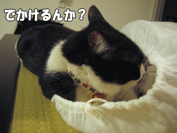 b0041182_030856.jpg