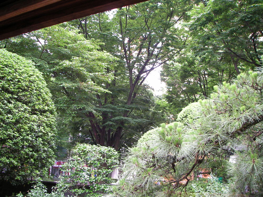f0100593_13162498.jpg