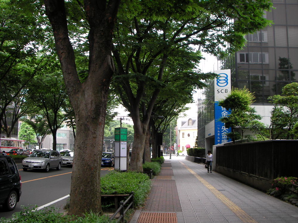 f0100593_13163965.jpg