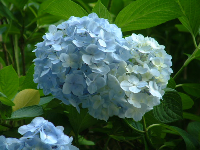 b0044296_13441429.jpg