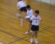 b0070797_2032896.jpg