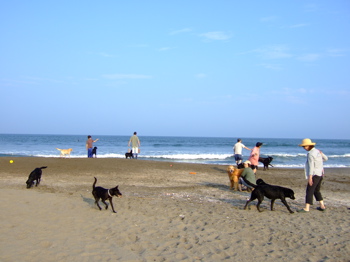 f0001698_101424.jpg