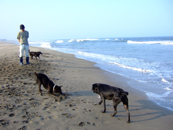 f0001698_1212496.jpg