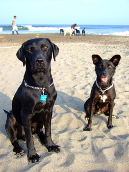 f0001698_17476.jpg