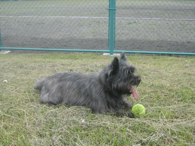 d0009101_13404939.jpg