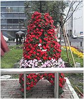 b0067302_2337030.jpg