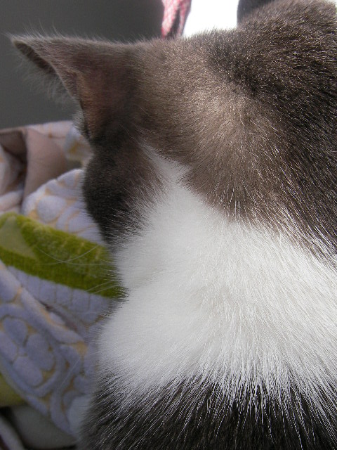 e0061902_1381257.jpg