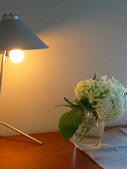 e0005603_18315222.jpg