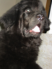 e0005603_184869.jpg