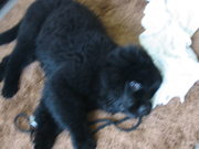 e0005603_1985869.jpg